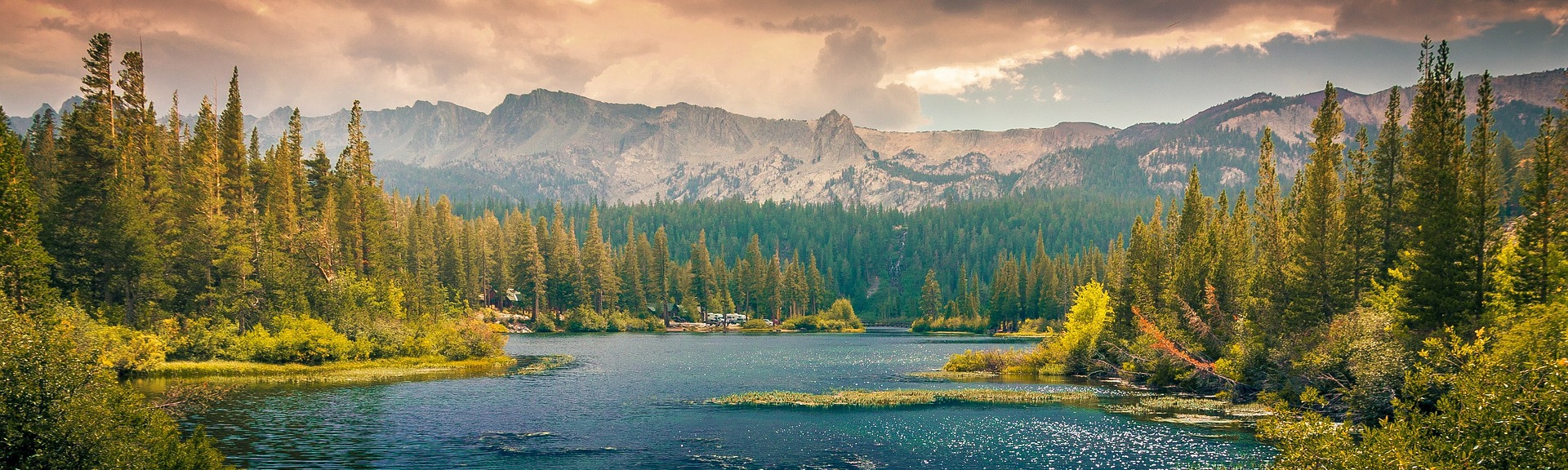 씨제이케이 | 이것저것 기록하는 잡블로그